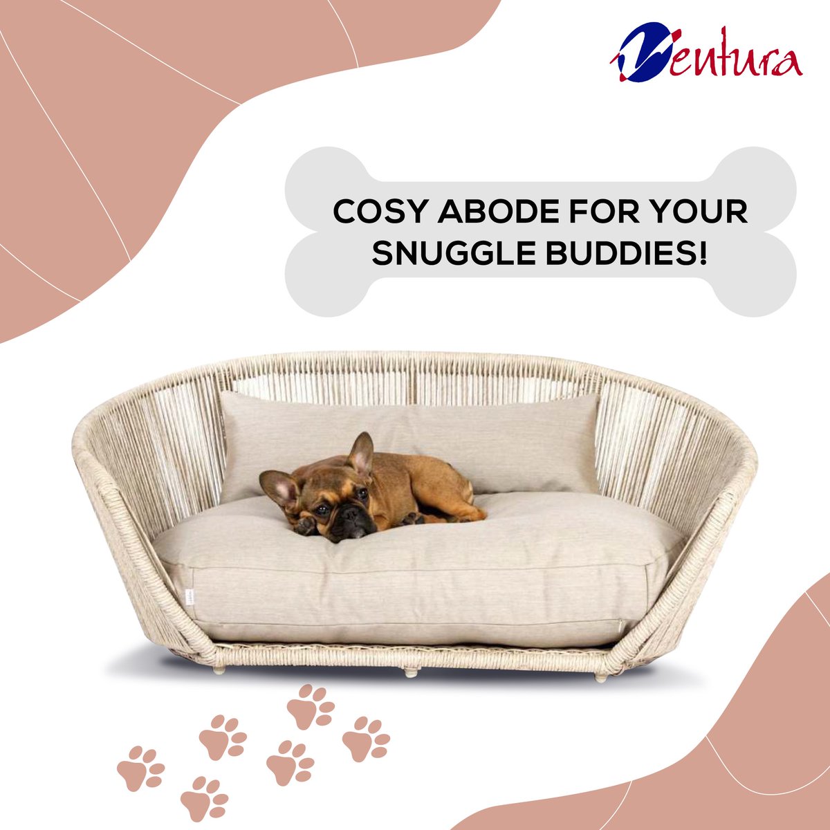 VenturaFur's tweet photo. We all relate to the times when our furry friends don't wanna hang out anywhere but on our beds.๐พ
Bring home Molly and watch them love their space to the moon and back!
#ventura #venturafurniture #petseries #bedforpet #petfurniture #luxuryhomes #modernfurniture #luxuryforpets https://t.co/3RWT4iBd2X