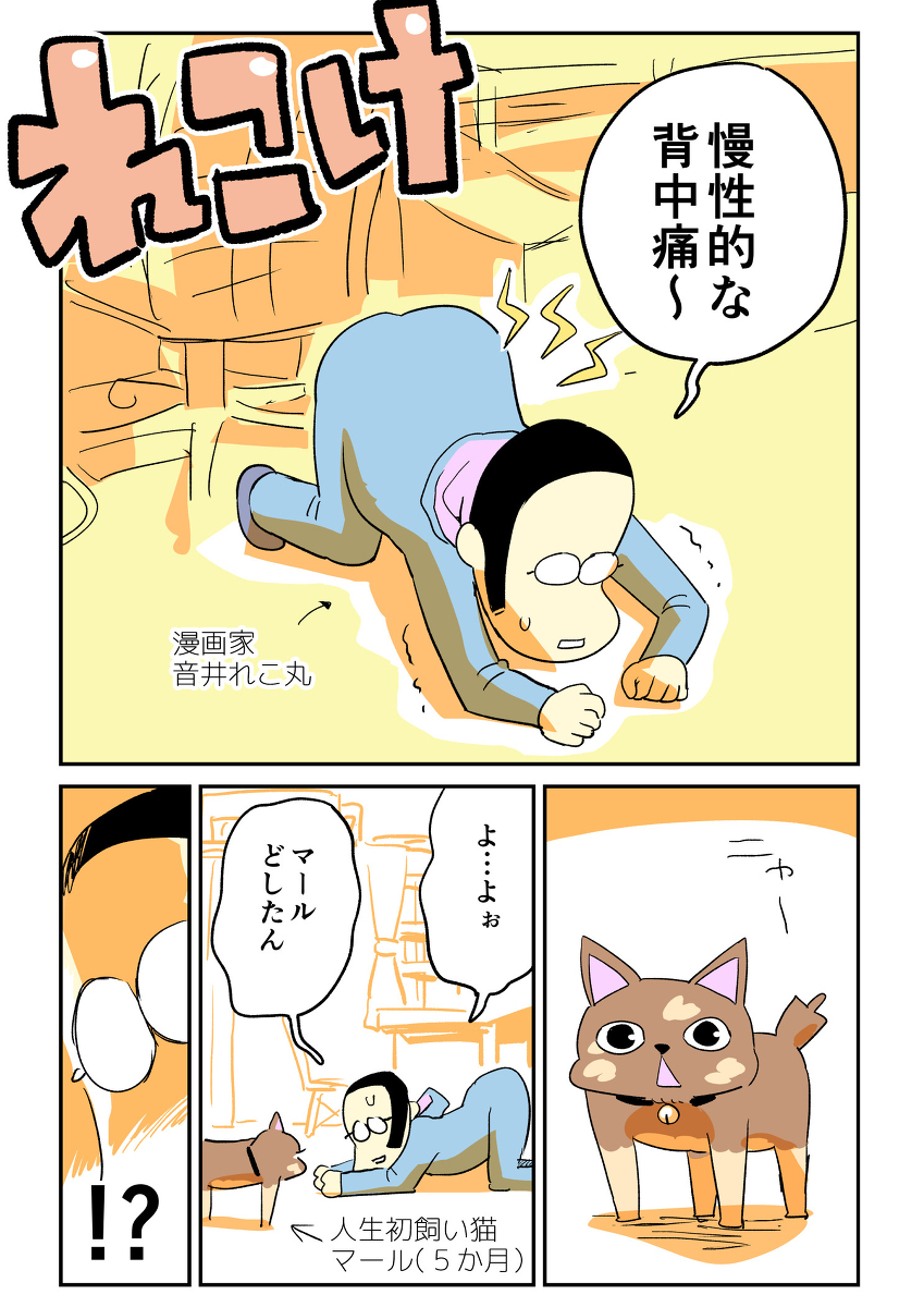 音井れこ丸 Toire Komoru さんの漫画 343作目 ツイコミ 仮