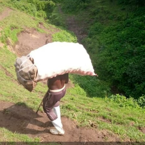 Ngabo_Karegeya's tweet image. Uyu mugabo akora Kano Kazi iminsi 6 mu icyumweru,  yikorera ibiro 120kgs kubitugu bye,  agakora urugendo rungana na 5 kilometers kugira ngo atunge umuryango we . May God bless all responsible Fathers. 😍