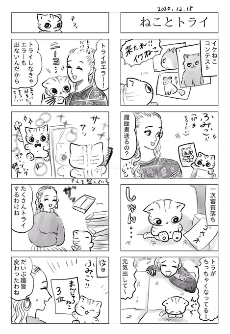 トラと陽子

ねこが挫折を知る話 