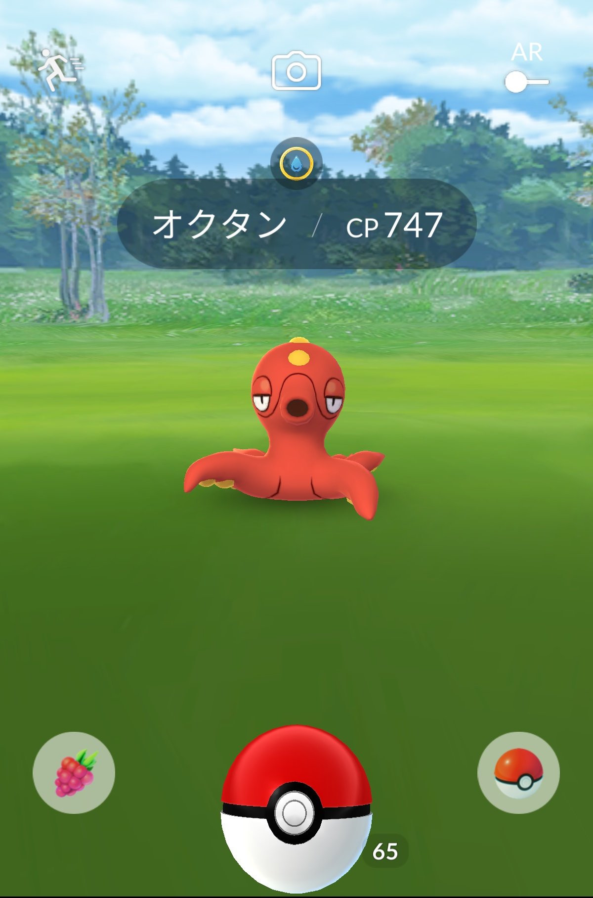 ソナチャ ポケモンgo 野生でオクタンが出ましたwwwwwwwww ポケスポより大きくて笑いましたw そして 初getだったという T Co Cydleg2cbi Twitter