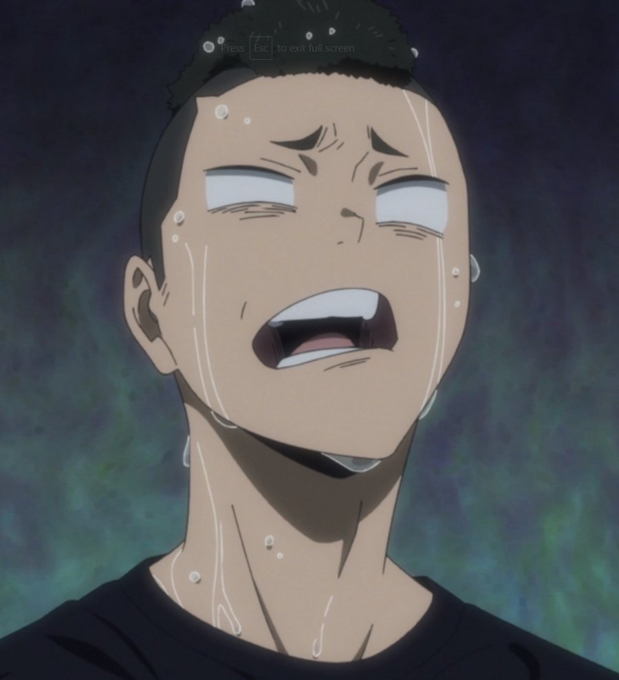 tora as capybarasa thread