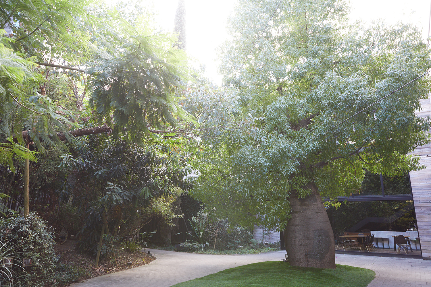 代々木village Yoyogivillage Twitter