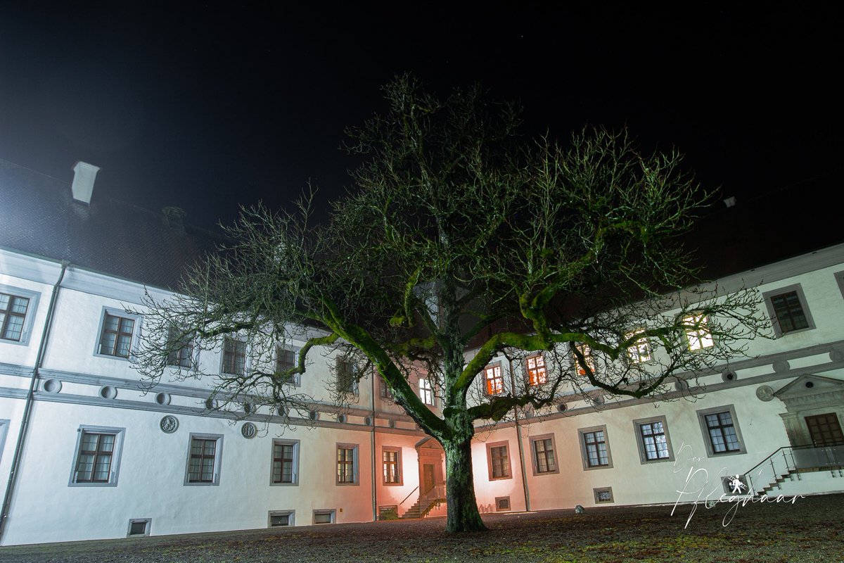 der_pfleghaar's tweet photo. Nature can do one thing much better than we humans! To survive everywhere.
#messkirch #meßkirch #alleinstehenderbaum #baumfotografie #baumfotos #tollenatur #amazingnature #nachtaufnahme #nachtaufnahmen #einzelbaum #schlossmesskirch #mittelalter #canondeutschland #canonphotography https://t.co/6yjeqhr6qp