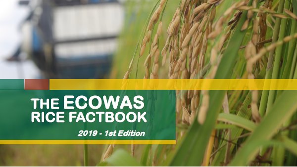 📢 Découvrez la 1ère édition de la Publication de la CEDEAO sur le Riz (2019) !
         ▶️ bit.ly/3nzHBtt

📢 Discover the 1st Edition of the ECOWAS Rice Factbook (2019) !
         ▶️ bit.ly/3nv5Okx