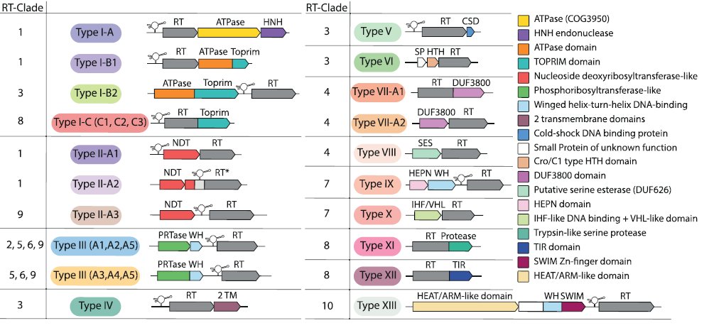 Estación Experimental del Zaidín (CSIC) tweet media