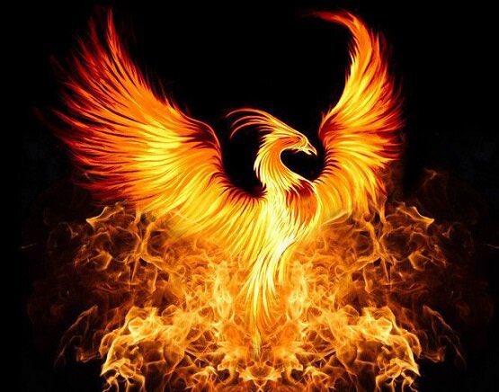 devioustrain's tweet image. phoenixfromtheashes 🏴󠁧󠁢󠁥󠁮󠁧󠁿 - Decided on a name change as a tough 2020 closes
