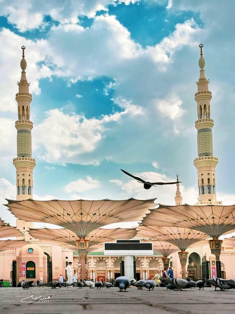 AlmadeniKsa's tweet photo. #إسال_أهل_المدينة
 #يوم_الجمعه
#صباح_الخير 
#المدينة_المنورة 

{إنّ اللهَ وملائكتَهُ يُصَـلُّونَ على النبي يا أيها الذين آمنوا صَلُّوا عليه وسلِّمُوا تسليما}

اللهم صلِ و سلم على نبينا محمد ﷺ https://t.co/XkWvxsgOZP