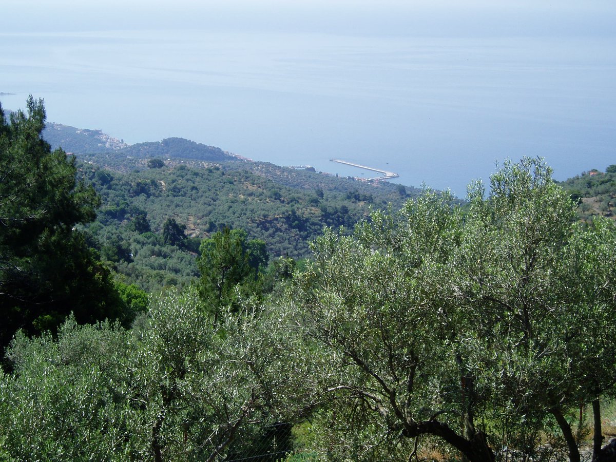 Taking time from the #olive harvest to break for lunch.
And with views like this it's paradise.
#OliveOil