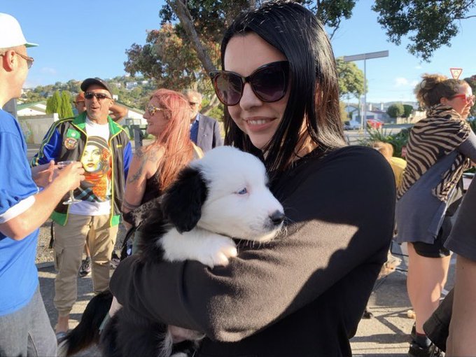 Should I steal him? #NZHellhole https://t.co/x64IeW7r2I<a href="/tag/nzhellhole"class="tags">#NZHellhole</a>