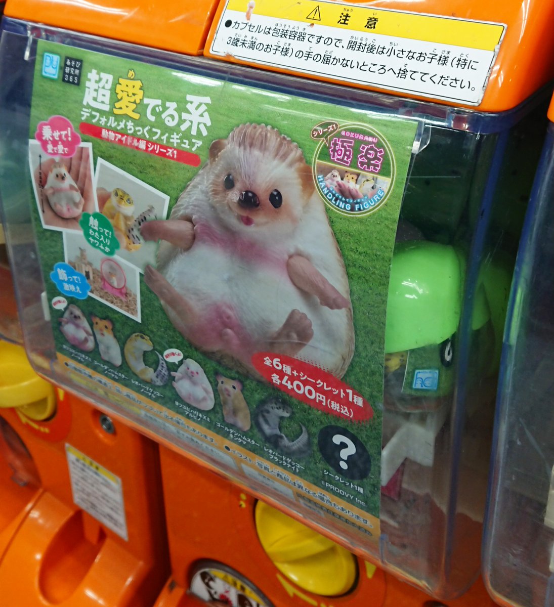 株式会社プルーヴィー Hobby事業部公式 会社から近場のカプセル自販機設置店に行って来ました 秋葉原ガチャポン会館さんで 極楽シリーズ1 を発見 ガチャガチャ ガチャポン会館 ハムスター ハリネズミ レオパードゲッコー レオパ ミニフィギュア