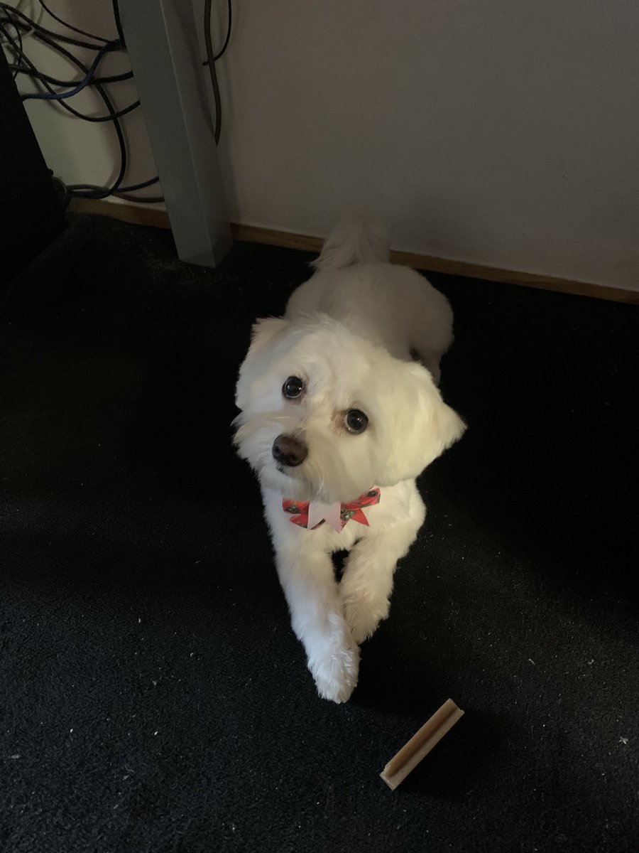 Ana Baotić tweet media