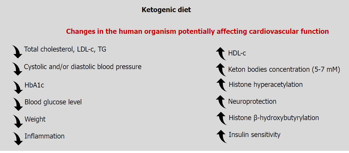 sarah4info's tweet photo. Effects of #ketogenicdiet &amp; #ketonebodies on the cardiovascular system: Concentration matters

Review
Considering the beneficial effects of #ketones/#KD on the endothelium &amp; cardiovascular system

#cardiovascularfunction
#CVD
#lowcarb

https://t.co/qbUzW6B62j https://t.co/lfeDqmWofH