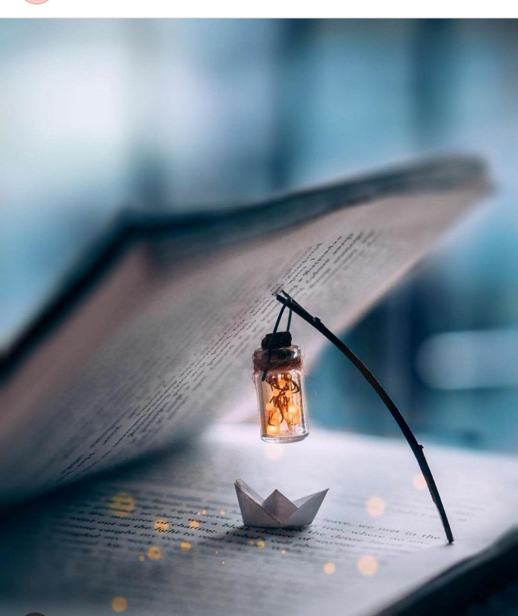 VLauwerys's tweet image. Bonjour tweeter bonjour Marc bon #vendredidouceur et 🎼 et bon #VendrediLecture bonne journée