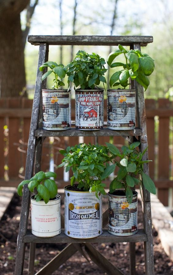 Herb garden inspo.- Pinterest
