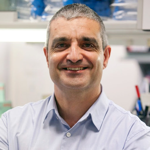 ManelEsteller's tweet photo. Today at 12.00h #open #webinar Invited Lecture by Dr Xose Bustelo from Instituto de Biología Molecular y Celular del Cáncer #IBMCC #Salamanca @CICancer_com @usal @CSIC and @ASEICAnews warrior, talk about Rho GEFs genes in #cancer
https://t.co/CBv4trNCgV https://t.co/gXmhYvBm3P