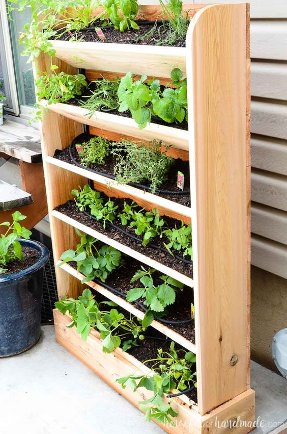 Herb garden inspo.- Pinterest