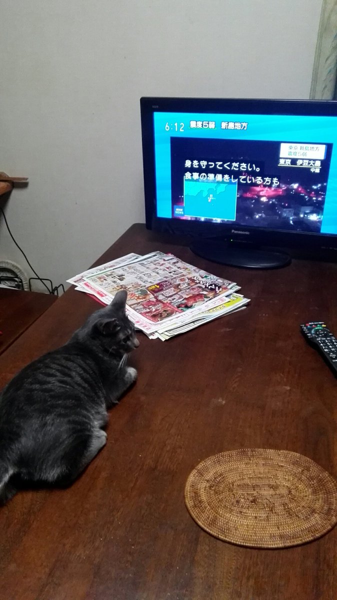 十野七 ストックイラストやってます ソファーで寝ていた猫が緊急地震速報の音に飛び起きてテーブルで待機の図 猫 十野七 ストックイラストやってます ソファーで寝ていた猫が緊急地震速報の音に飛び起きてテーブルで待機の図 猫