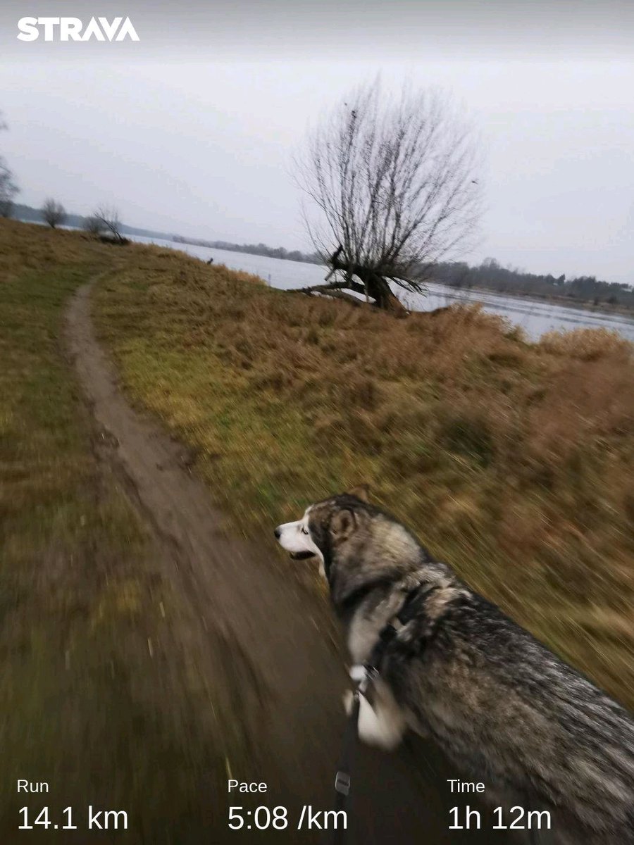 Pawel_Kownacki's tweet photo. 2 km #PoChetane a reszta to trucht jak pociąg osobowy jako kontra do "Pendolino" - to apropos dzisiejszej daty - 18.12 do kiedy można składać ankiety w sprawie planów PKP w Gminie Wieliszew i całym powiecie. https://t.co/VflVsakI7n