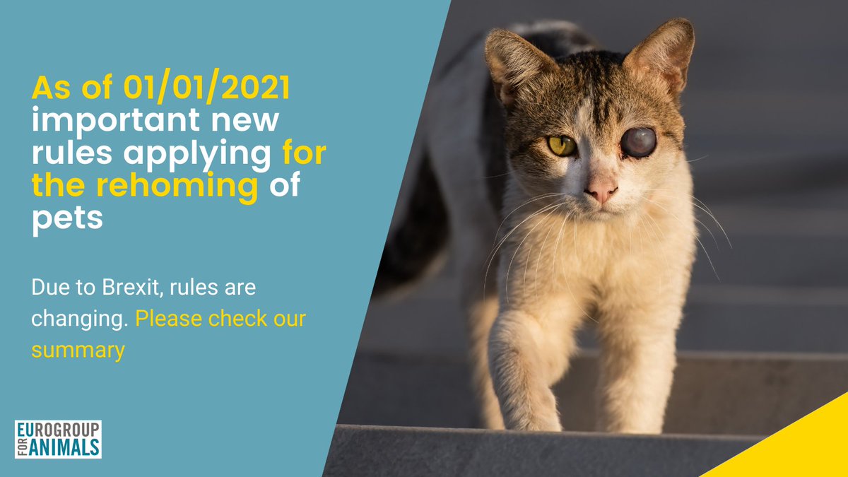 Act4AnimalsEU's tweet photo. 🐱🐈🐶🐕New rules for the commercial movement and rehoming of pets after #Brexit
Read our summary here: https://t.co/4pX0LjWpqF
#Act4Pets https://t.co/XeVq5cdpKk