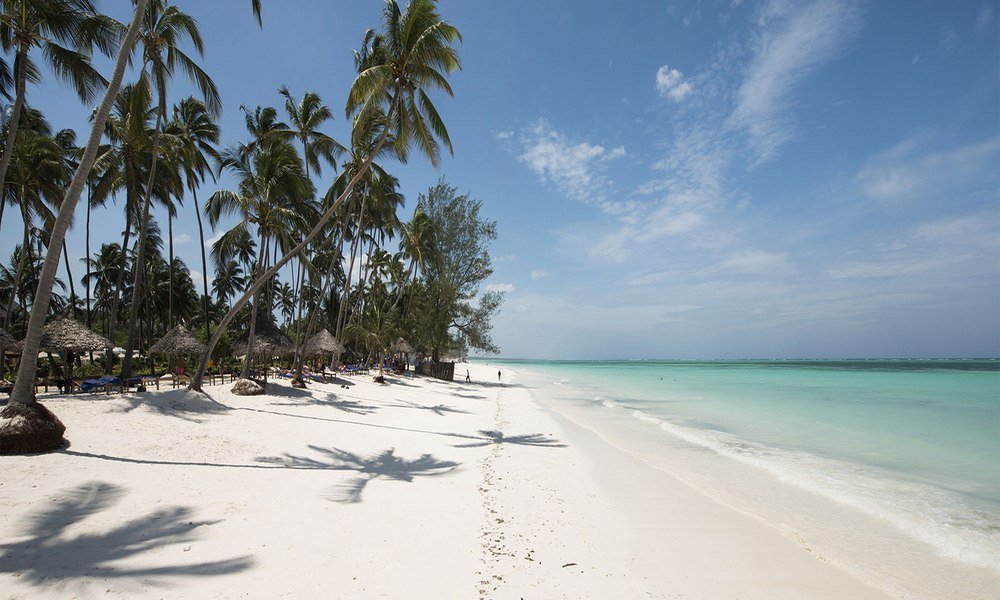 SafarisJambo's tweet photo. @naimatapei Girl, you'd look amazing in a 👙. And what's the best place to show it off than Diani Beach. DM us and we will get you there😊 https://t.co/rpKyQa8iJa