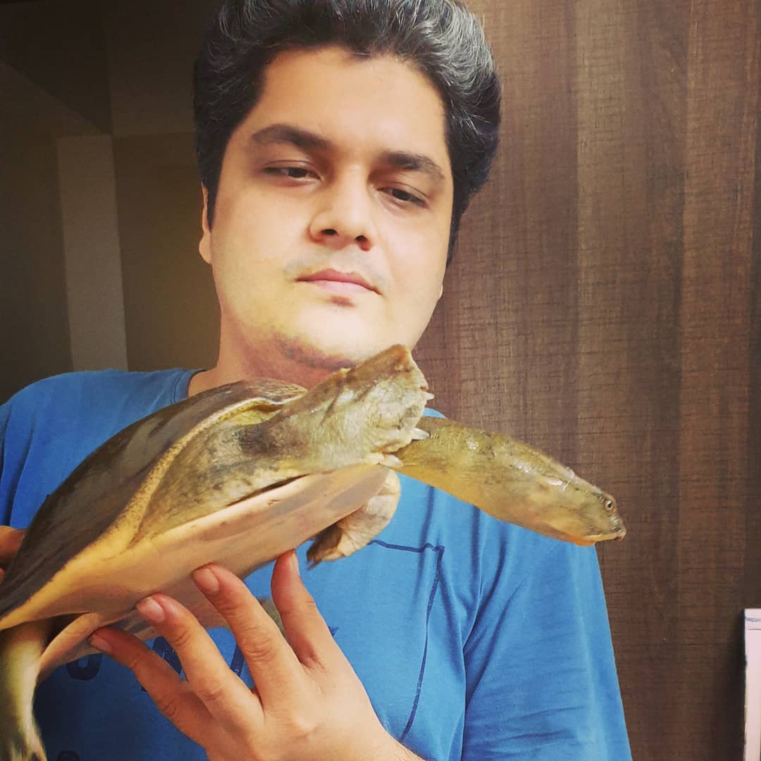 raww_tweets's tweet image. Maximum rescues are due to displacement, migration, fishing or illegal trade. These turtles perform both acts of hunting and scavenging and help in keeping our waterbodies clean and a check on population of smaller aquatic kinds 
#TurtlesOfIndia