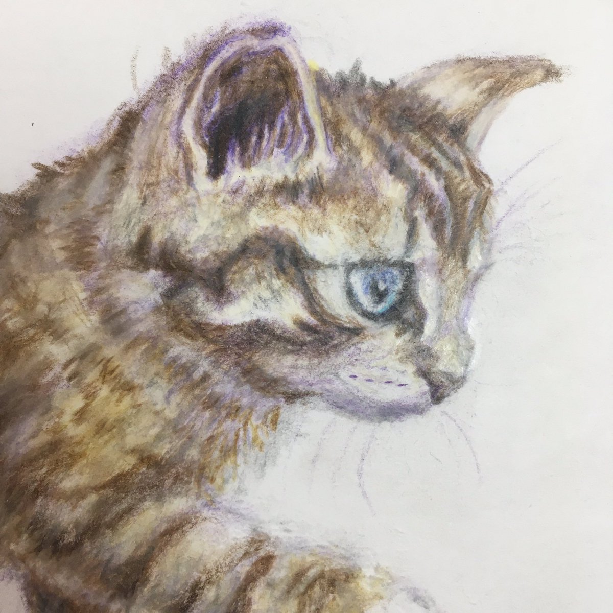 ガトペロ 今日もまた猫ちゃん描いてみました 足元に注意して塀の上を歩くネコちゃん 猫好き ネコ イラスト イラスト練習中 猫好きさんと繋がりたい イラスト好きさんと繋がりたい Illustration Cats アナログ 鉛筆 色鉛筆 お絵描き ガトペロ 今日もまた猫ちゃん描いてみました 足元に注意して塀の上を歩くネコちゃん 猫好き ネコ イラスト イラスト練習中 猫好きさんと繋がりたい イラスト好きさんと繋がりたい Illustration Cats アナログ 鉛筆 色鉛筆 お絵描き