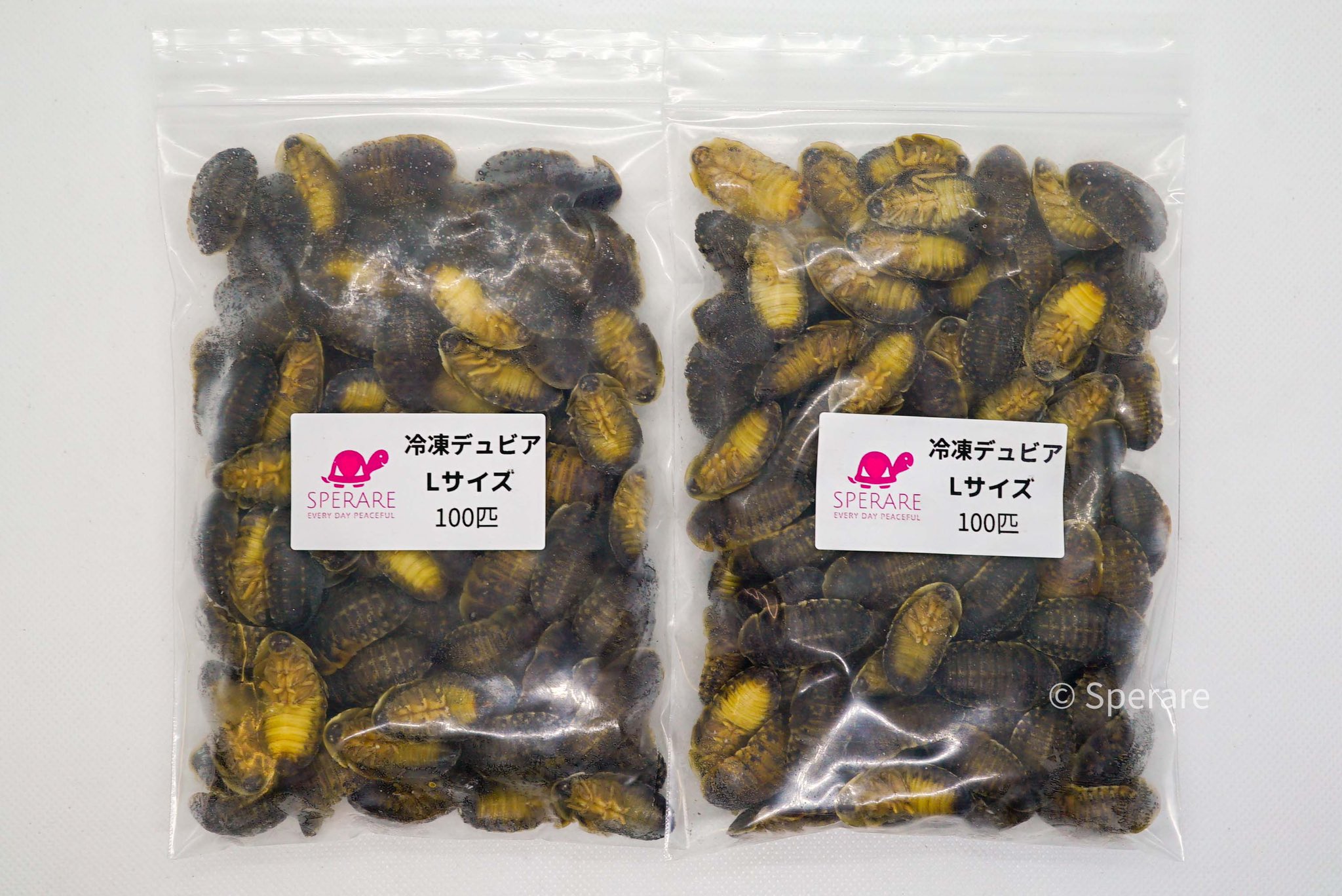 大型魚餌 Twitter Search Twitter