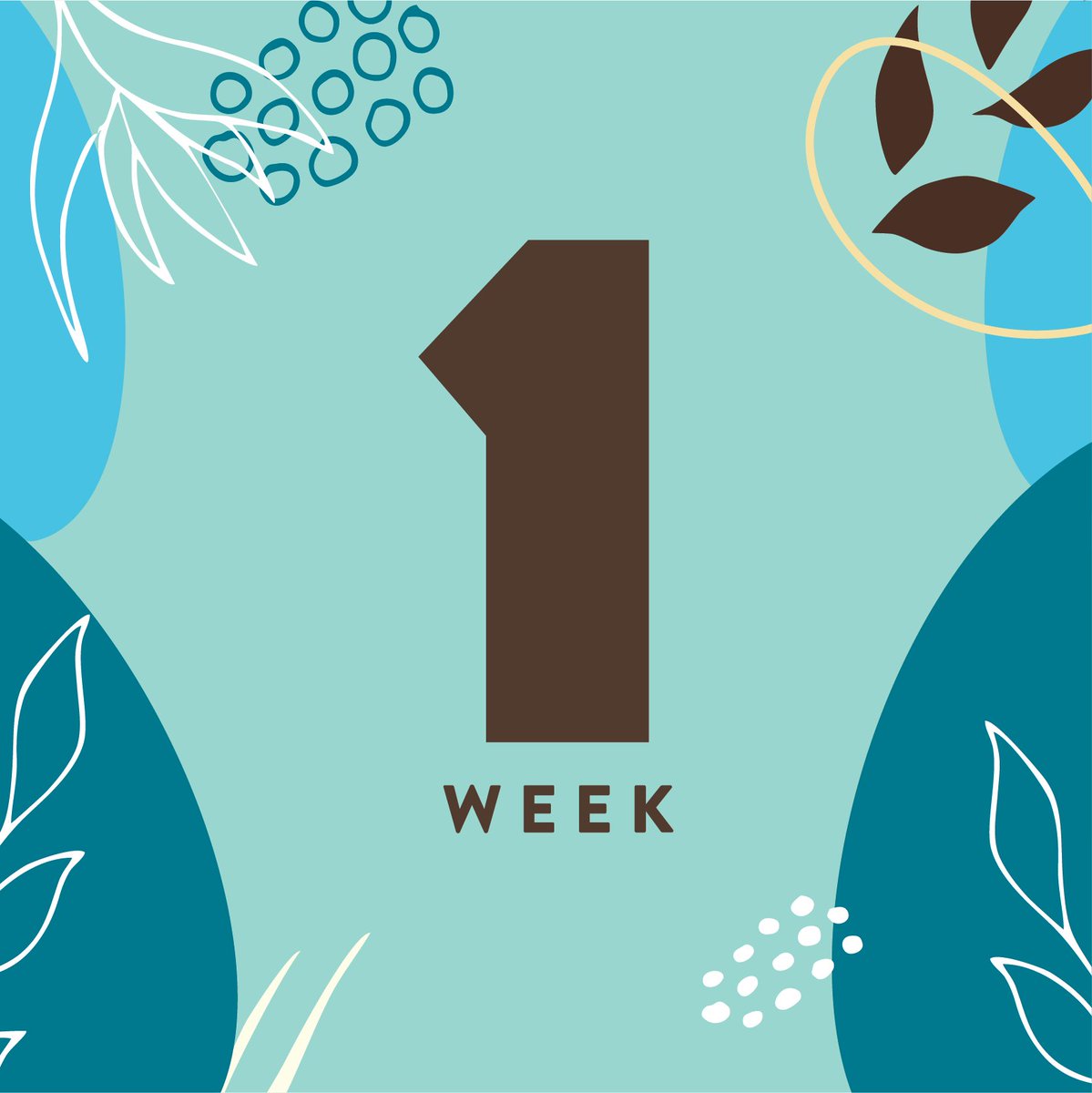 It’s officially less than 1 week until the big day, what food are you most excited to be eating this Christmas? Ours is definitely the shed load of pigs in blankets.