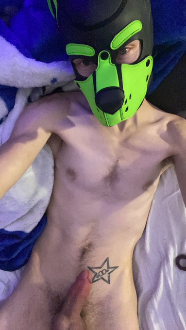 Pup is horny. Who wants to play? https://t.co/XJGsBdqaa3