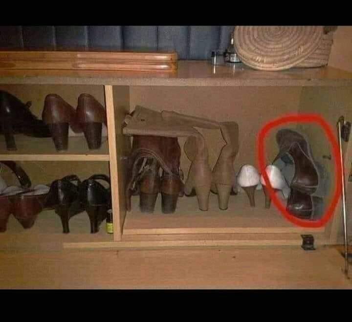 HcNeHamd's tweet image. أحدهم علق ( دائما حقوقنا مسلوبة )🙃