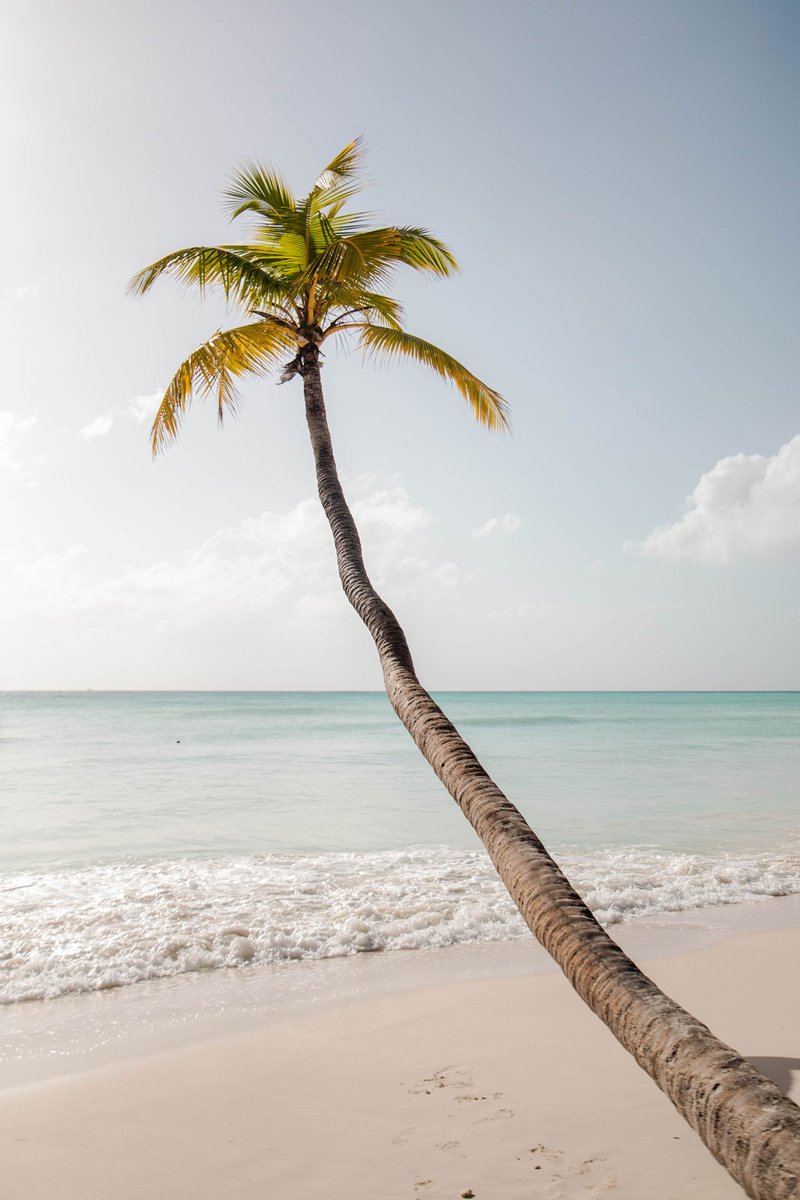 ÉVASION DANS LES ÎLES #3 ⛵
&amp; en janvier, c'était la <a href="/OTRep_Dom/">Office du Tourisme de la République Dominicaine</a> qu'on découvrait loin des clichés de Punta Cana avec @TUI_France. On a découvert une 🏖 avec une vraie histoire, culture et des paysages diversifiés qui nous ont étonné.

À retrouver ici : bit.ly/38gBu6N