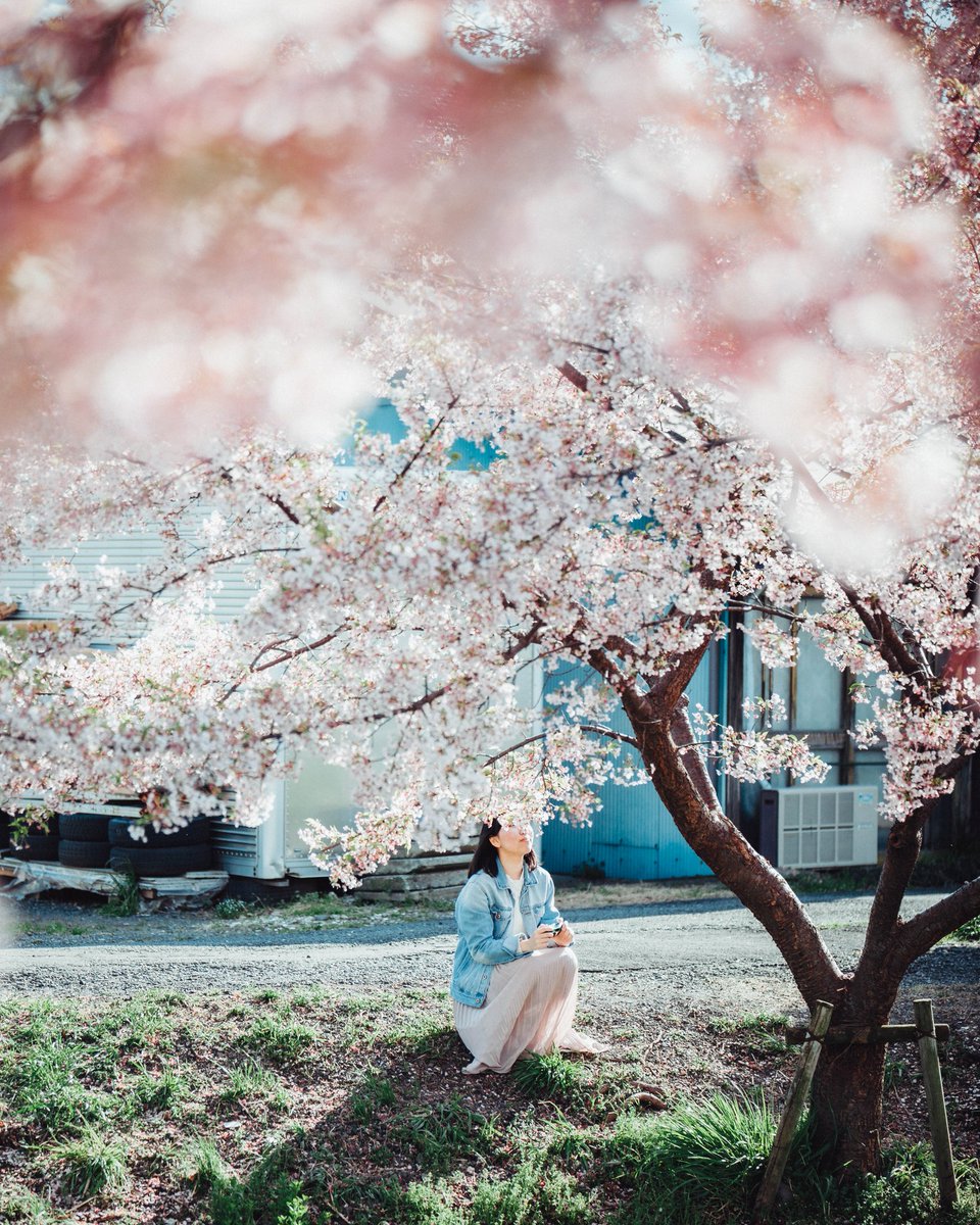 stylishgraphy__'s tweet photo. 今年は四季を感じられなかったなという人へ

#Twitterで感じる春夏秋冬 https://t.co/fHjaonZqap