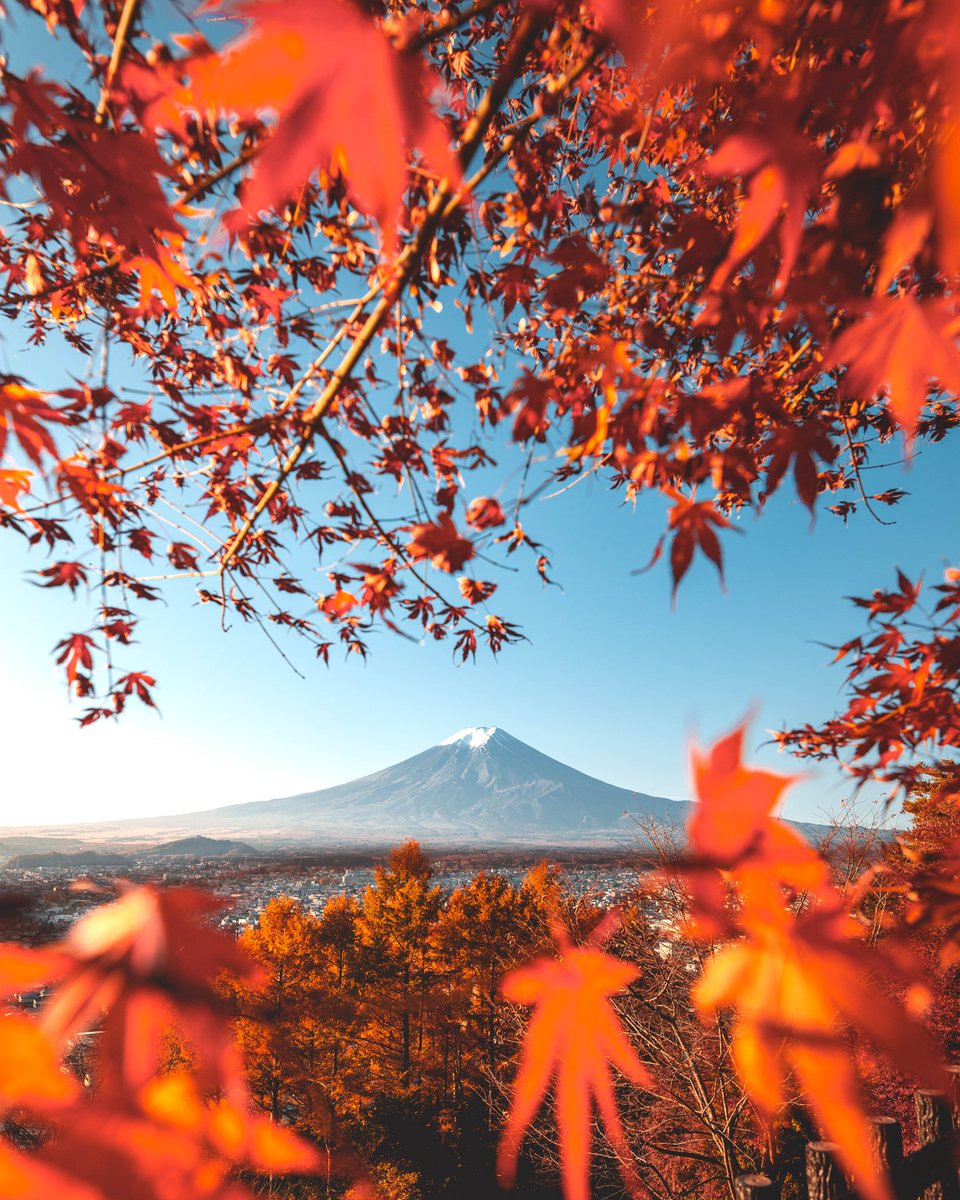 stylishgraphy__'s tweet photo. 今年は四季を感じられなかったなという人へ

#Twitterで感じる春夏秋冬 https://t.co/fHjaonZqap