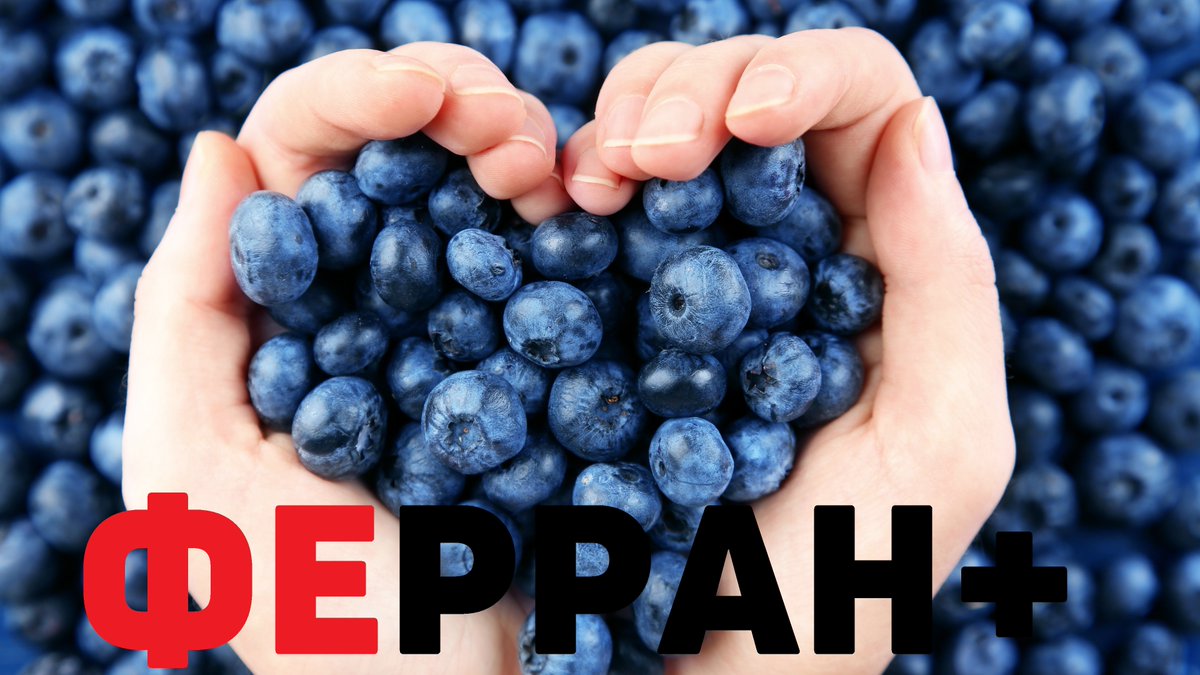 Ферран Плюс tweet media