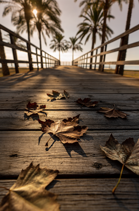tmobenicassim's tweet photo. La semana que viene diremos adiós al otoño y daremos la bienvenida al invierno en #Benicàssim 😎 . Un invierno donde el buen tiempo y las temperaturas no muy bajas hacen que podamos disfrutar de nuestras playas y montaña todo el año. https://t.co/CSHjZzDoy1