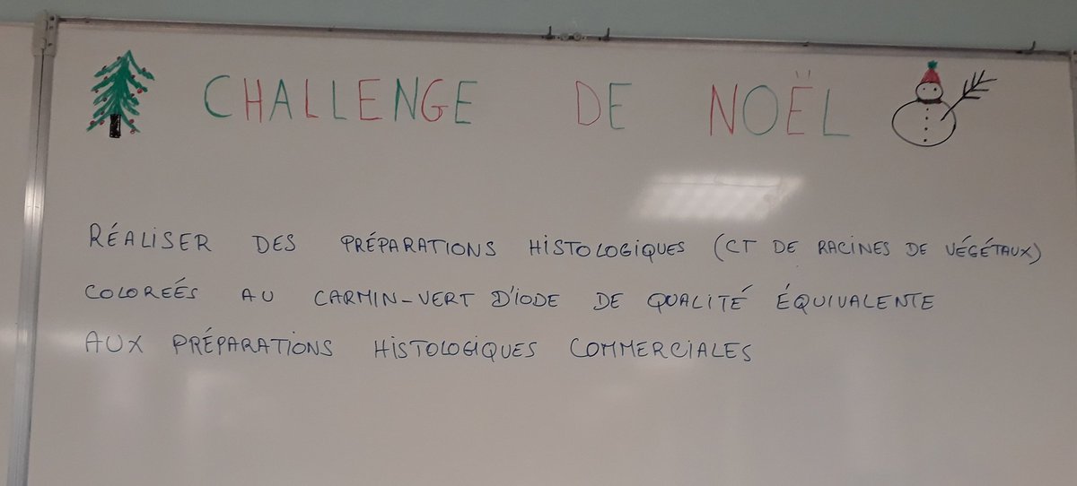 VJarrousse's tweet photo. Le #challengedenoël des #TSTLbiotech @lyceeUruguay77
Préparation histologique végétale maison vs commerciale
@UpbmAsso https://t.co/qx5bWljiAU