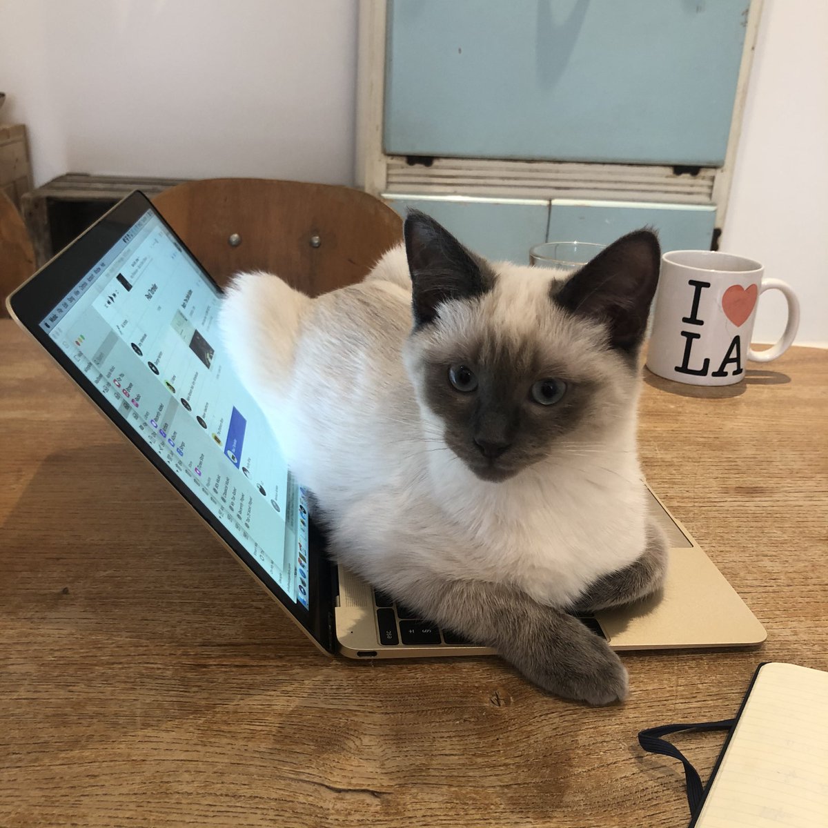 ProduceUK tweet media