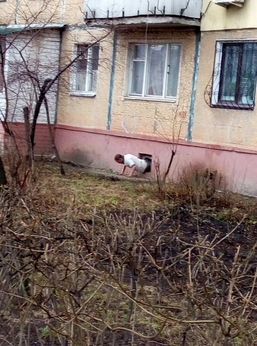 National Geographic cameras capture first-ever birth of a gopnik