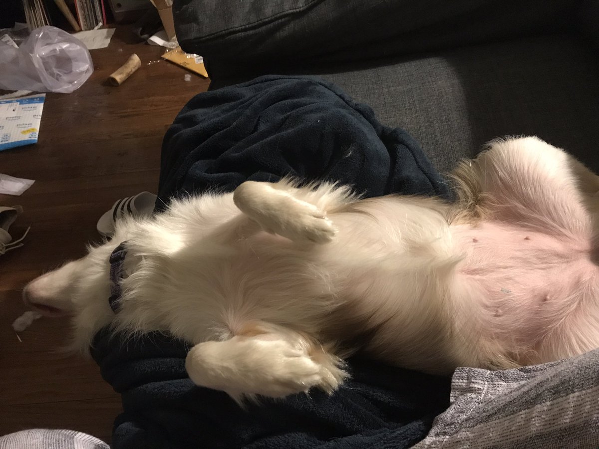 Mandy Mandelstein tweet media