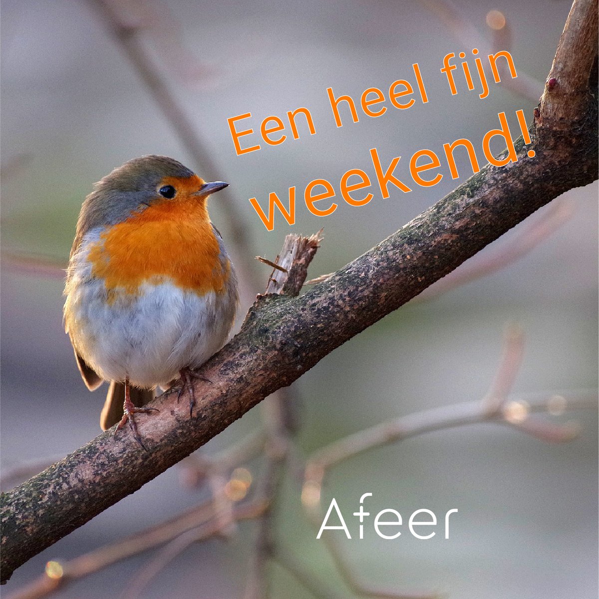 Fijn weekend allemaal!
#blijfgezond