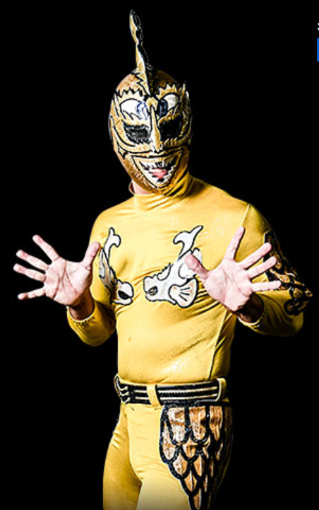 Shachihoko Machine- shachi boy but yellow gear- btw- if u go to jp wiki & translate it with google- shachihoko = KILLER WHALE- but there's actually a separate wiki page for THE shachihoko- & it's a fusion of tiger+carp lol- multiple wrestlers dressed as him- incl YOSHINO