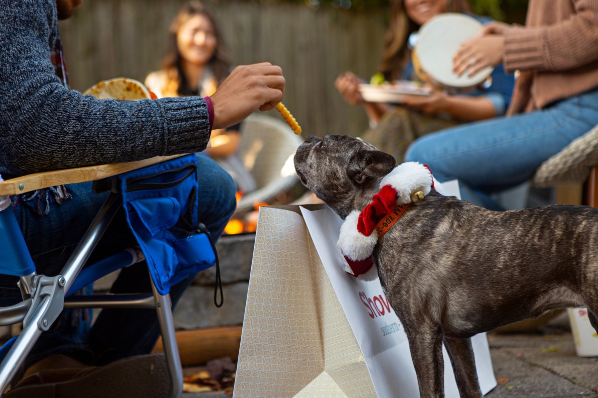 Happy Fry-day! Make it as joy-filled as a frenchie with a french fry!

#showmars #charlottenc #queencityfood #raleighfoodies #wakeforestfoodie #trianglefoodie #trianglefoodies #wakeforestnc #raleighnc #durhamnc #queencity #cltfoodie #cltlove #cltlocal #southernfood #greekfood