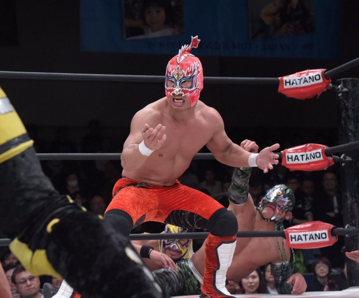 Shachihoko BOY- maintaining that lucha rule of masked wrestlers- unknown real name- HIGH TENSION- vocal cords broken i kinda feel bad- pretty comedic- him + yoshino = Amigo Tag- probably a far better wrestler than i thought of him tbh- gotta watch more of his matches lol