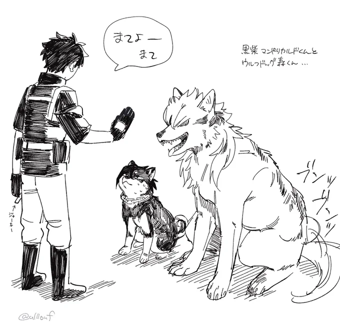 これはワンドリカルドと森わん(再掲) 
