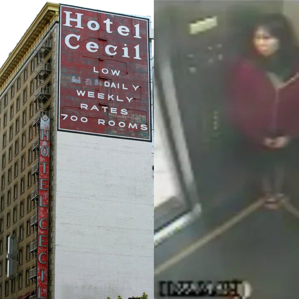 jangacfan12's tweet image. @Zak_Bagans Can't wait to see this 2-hour special . Where the  crew investigates the infamous Cecil Hotel where the mysterious death of Elisa Lam shocked the world. #jan4th stream live on #discoverplus #GhostAdventures