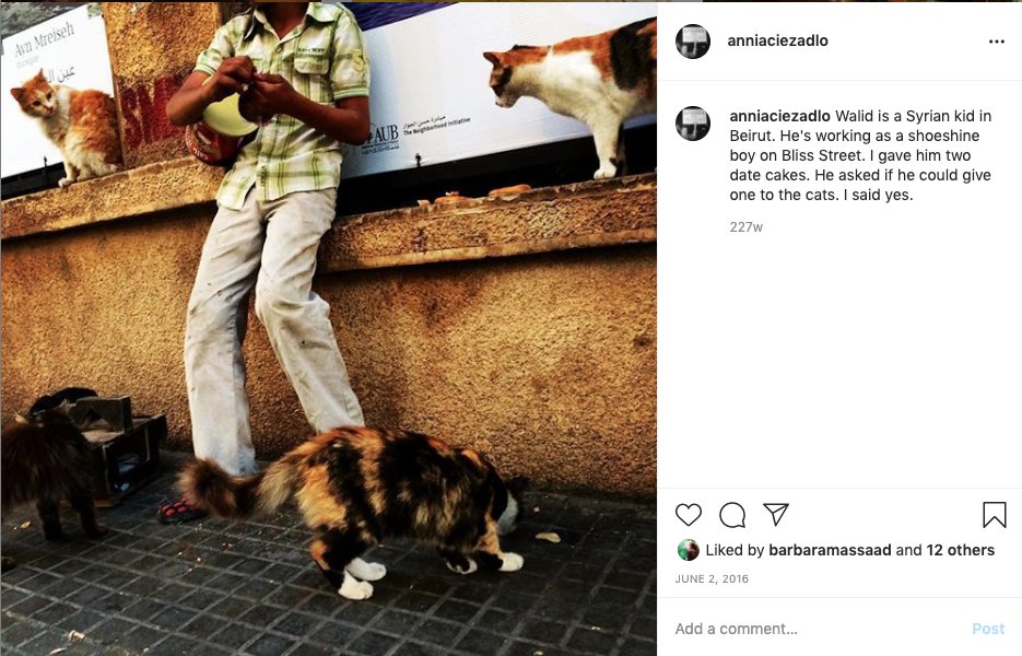 Begging for food, money, milk. Huddled together, freezing, in the cold winter rain. Crying because they were hungry.Here's Walid. He is/was one of them. He worked shining shoes but he should have been in school.He was just a kid. He loved cats: