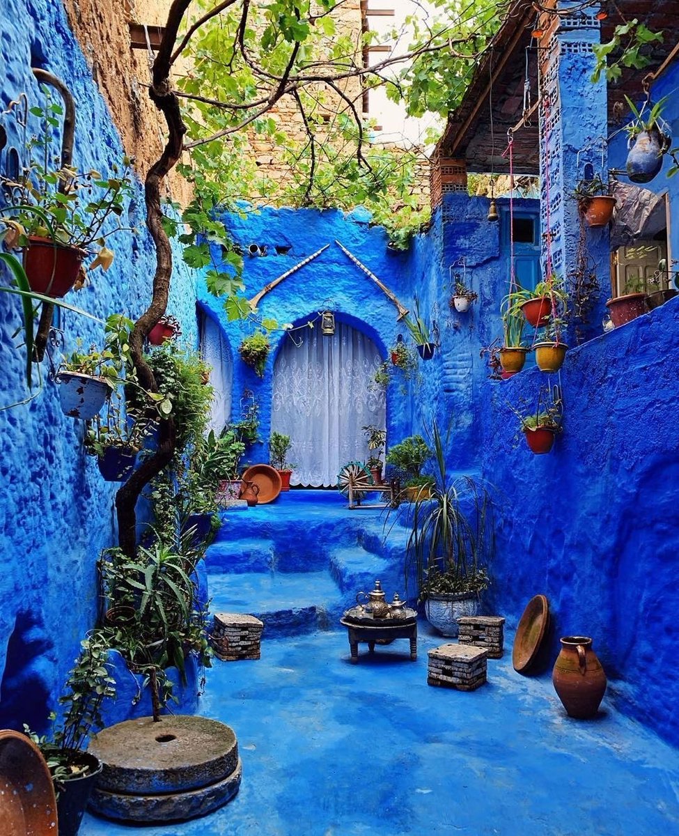 Tutun kolumdan beni Fas'a götürün. 💙