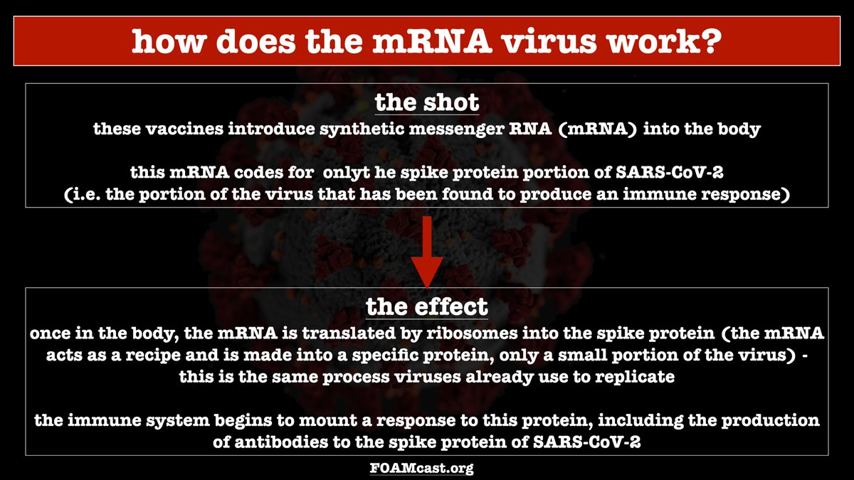 So, I had to consider the risks The theoretical risk (the mechanism of the mRNA vaccines) is very very low & the other ingredients in the vaccine are fine in pregnancyThe Moderna DART trial found no significant issues w/ fertility or congenital malformations (4/)