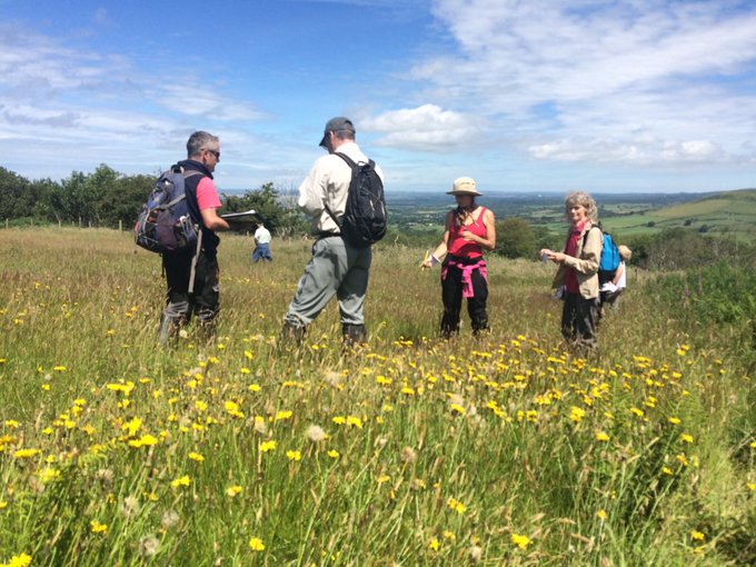 Plantlife (@love_plants) on Twitter photo Volunteers are the very liveblood of the wonderful National Plant Monitoring Scheme that Plantlife are proud to partner on with <a href="/BSBIbotany/">BSBI: Botanical Society of Britain & Ireland</a> <a href="/UK_CEH/">UK Centre for Ecology & Hydrology</a> & <a href="/JNCC_UK/">JNCC</a>
Here's how anyone can get involved and help build our understanding of wild plants > npms.org.uk/content/how-ge…
#NPMSFest Volunteers are the very liveblood of the wonderful National Plant Monitoring Scheme that Plantlife are proud to partner on with <a href="/BSBIbotany/">BSBI: Botanical Society of Britain & Ireland</a> <a href="/UK_CEH/">UK Centre for Ecology & Hydrology</a> & <a href="/JNCC_UK/">JNCC</a>
Here's how anyone can get involved and help build our understanding of wild plants > npms.org.uk/content/how-ge…
#NPMSFest